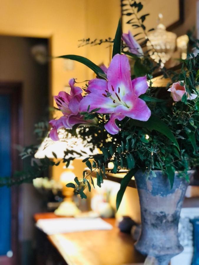 Bed & Breakfast Casa Cambini *