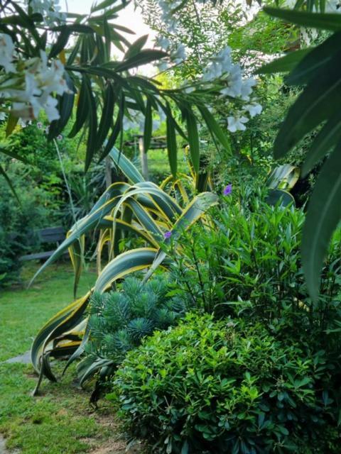 Bed & Breakfast Casa Cambini *