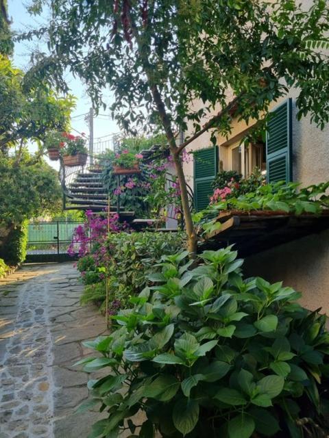 Casa Cambini Marina di Massa